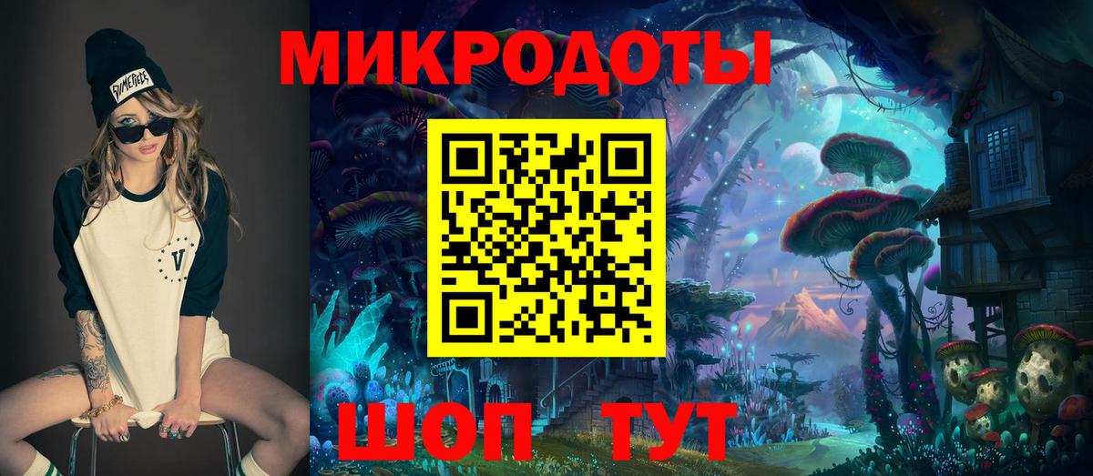 Псилоцибиновые грибы Psilocybine cubensis Пушкино